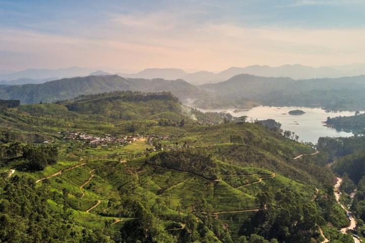 Aerial view of tea plantations in Sri Lanka. View from Adam's Peak to Dalhousie village, tea plantations, lakes