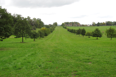 Windsor great park