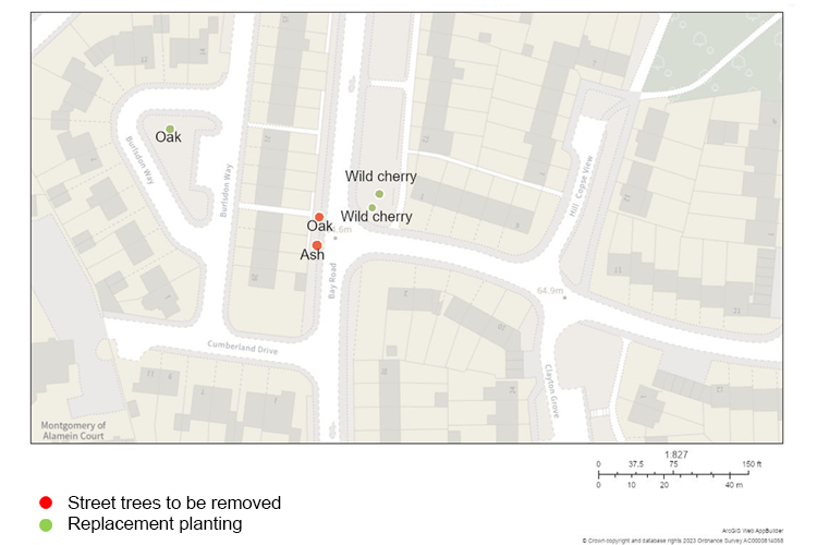 Map: Bay road street tree consultation