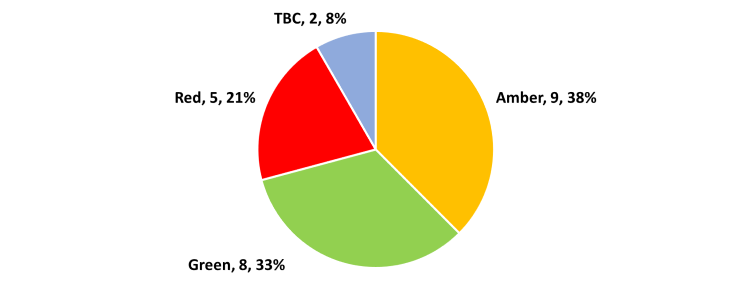 Pie chart showing the RAG status summary. There are 9 Amber, 8 Green, 5 Red, and 2 'to be confirmed' indicators