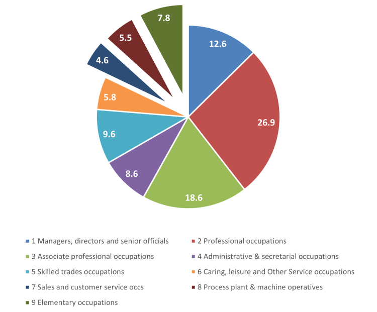 A pie chart showing employment by occupation. Managers, directors and senior officials - 4.6%. Professional occupations - 26.9%. Associate professional occupations - 12.6%. Administrative and secretarial occupations - 8.6%. Skilled trades occupations - 9.6%. Caring, leisure and other service occupations - 5.8%. Sales and customer service occupations - 7.8%. Process plant and machine operatives at 5.5%. Elementary occupations at 18.6%. 