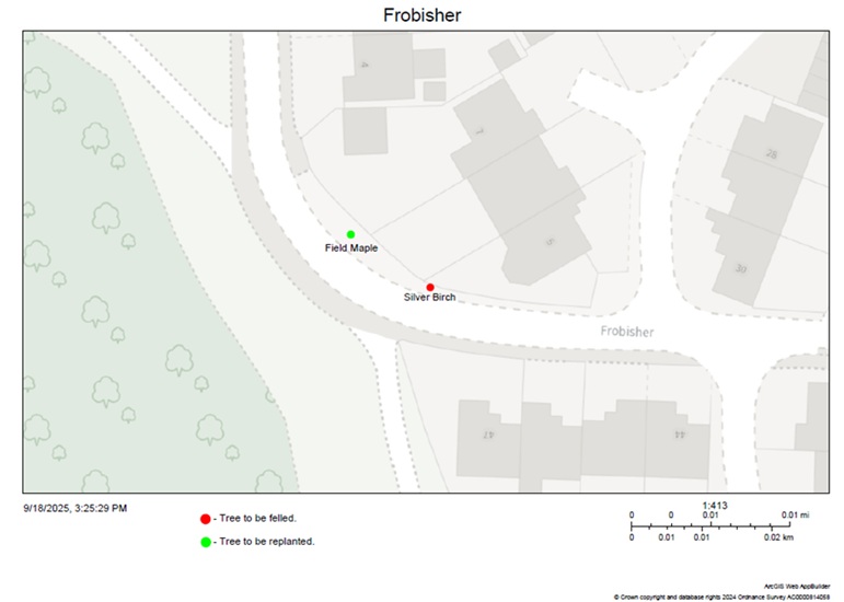 Map showing silver birch position