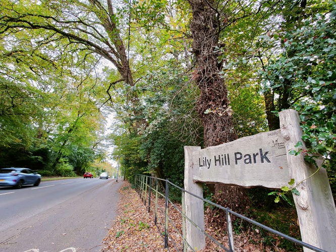 Tree lined road with Lily Hill Park wooden sign in foreground