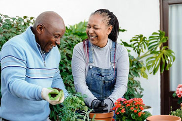Middle aged couple, laughing while gardening