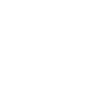 Icon: pregnancy. Shows a pregnant person.
