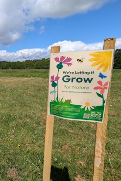 A sign in a green field which says "We're letting it grow", with information about No Mow May.