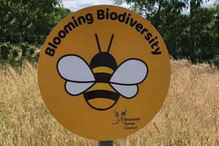 biodiversity sign in grass verge