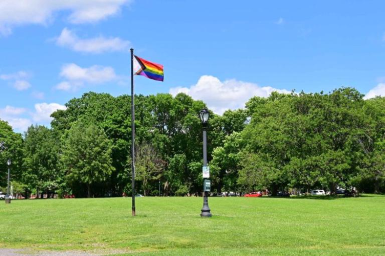 Beautiful view of a Progress Pride flag in a park on a sunny day