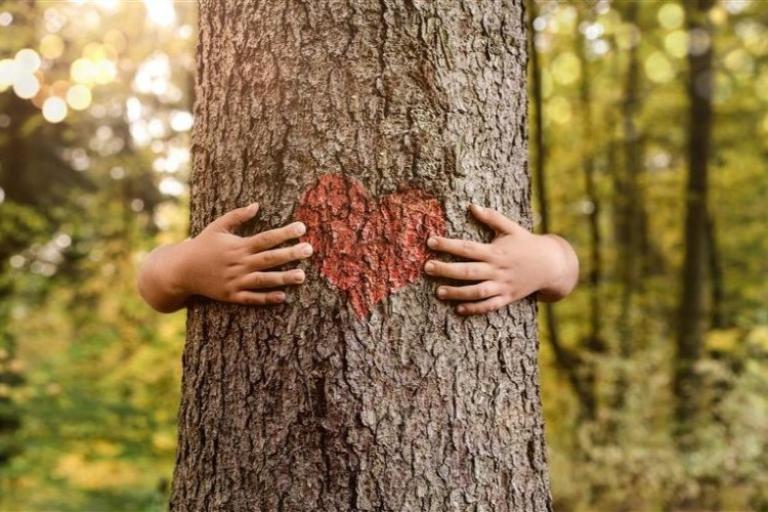 Child's hands hugging a tree trunk with a red heart on the front. 