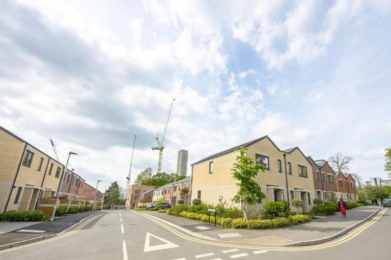 Row of houses with trees out the front 