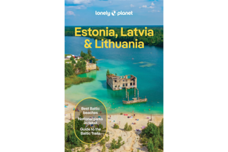 Book cover with beach and castle ruins in the sea