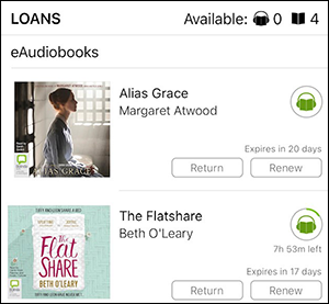 Loans on the BorrowBox app
