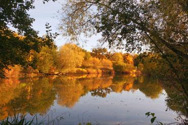 Westmorland Park balancing pond