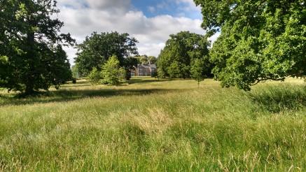 View of park