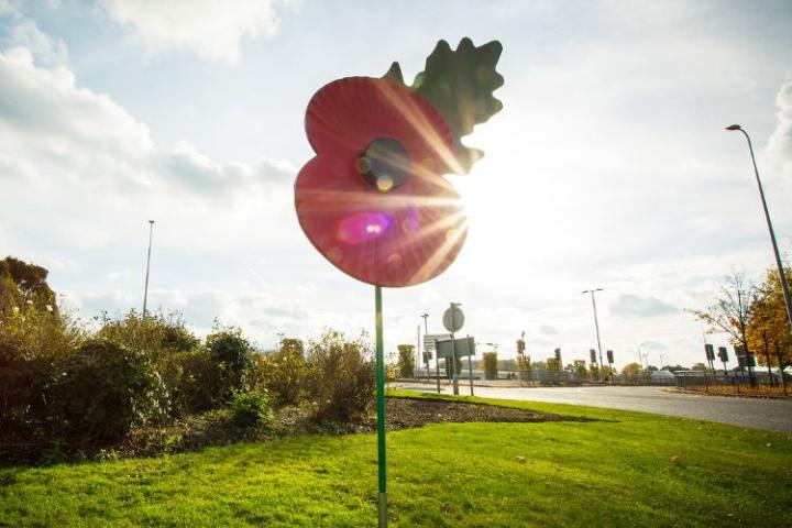 Giant Poppy on roundabout in Bracknell