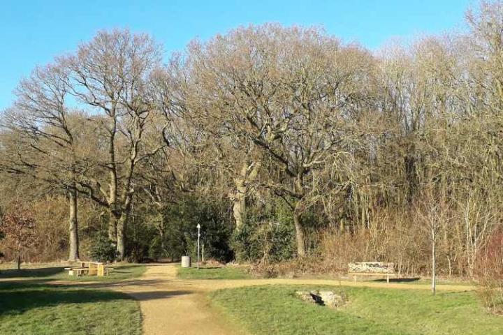 Tarmans Copse with benches