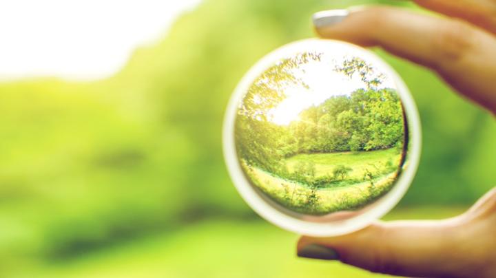 Magnified view of a landscape through a glass sphere