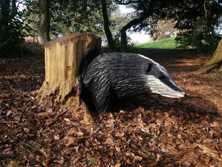 a wooden carved badger in woodland