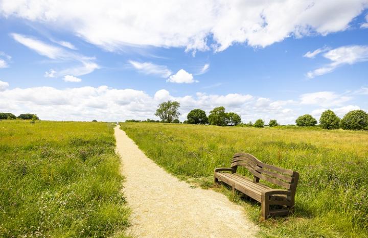 Image of a green meadow with a path running through the centre and a bench to the right of the path
