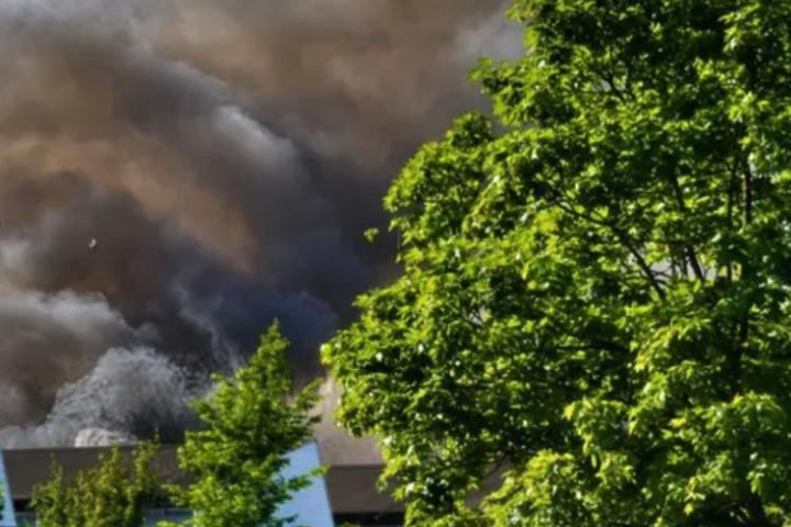Plume of black and grey smoke billowing in the sky behind a tree with green leaves. 