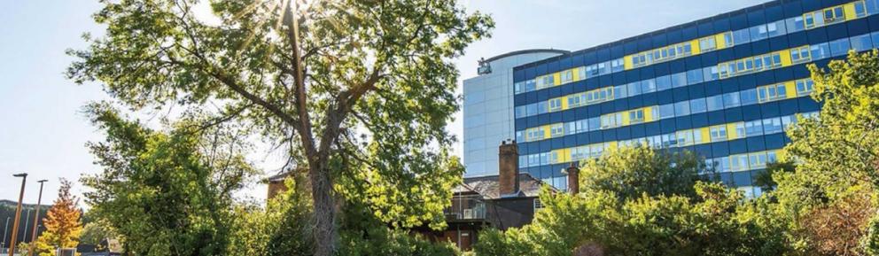 Buildings and trees in Bracknell Town Centre