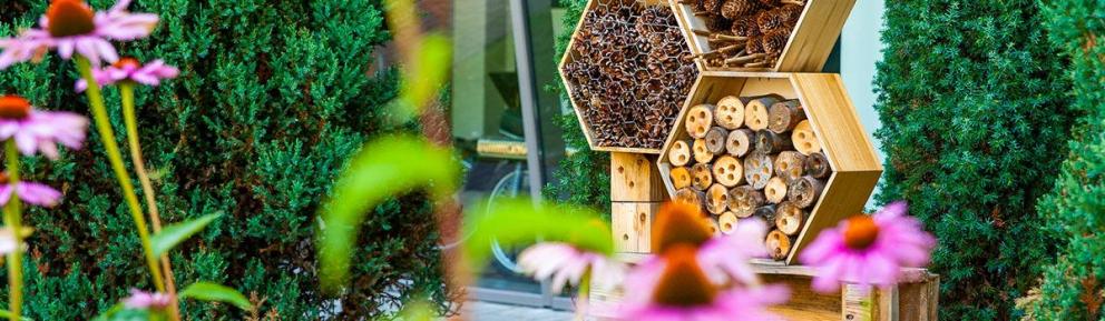 A bug and bee box in a flowering garden