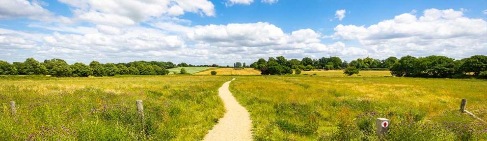 Meadow with footpath running through at Frost Folly in Bracknell Forest