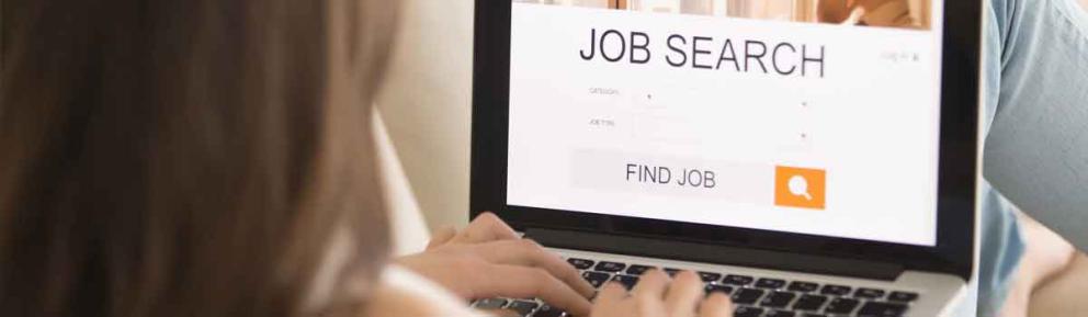 Person on laptop doing a job search