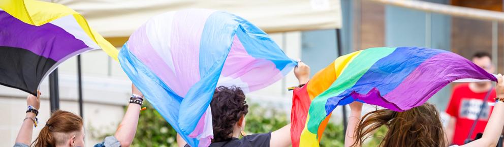 Three people wave pride flags above their heads. From left to right, they are the nonbinary pride flag (striped yellow, white, purple and black), the trans pride flag (with blue, pink and white stripes) and the rainbow flag.