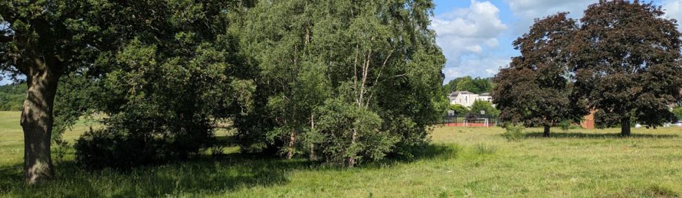 The Parks in Bracknell. A wide, green field lined with lush trees.