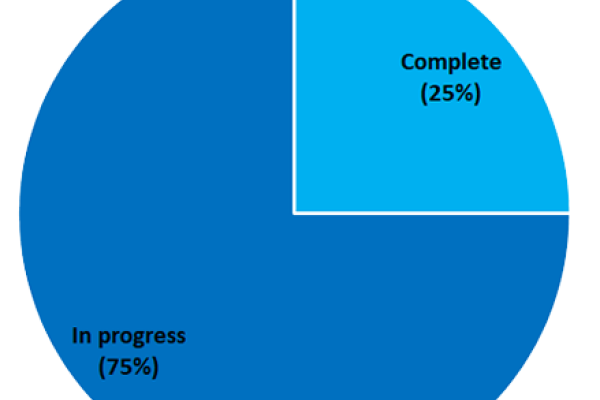 Pie chart - Complete (25%) and in progress (75%)