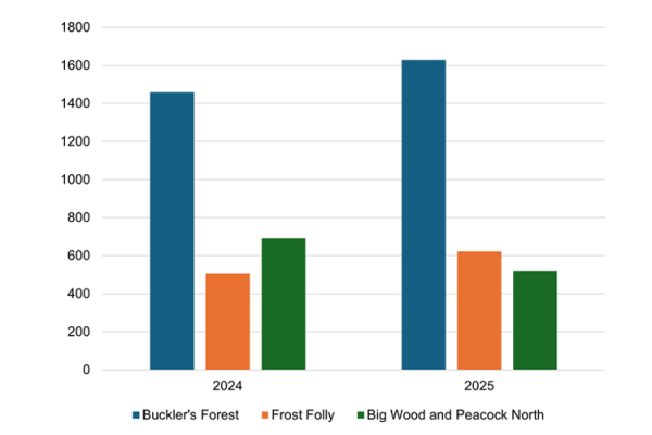 A bar chart showing the number of individual butterflies recorded in 2024 and 2025.