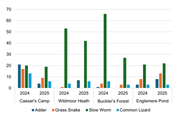 A bar graph showing the 2024 to 2025 reptile records.