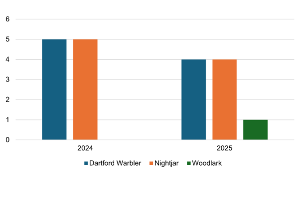 A bar chart showing the numbers of SPA bird territories at Wildmoor Health.