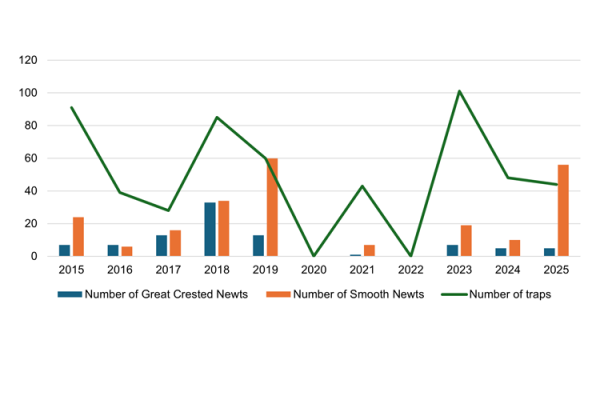 A bar and line graph showing the number of newts recorded at The Newt Reserve (front pond)