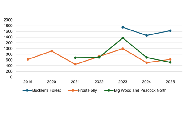A line graph showing the number of individual butterflies recorded across all transects