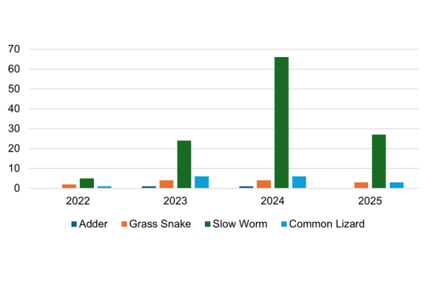 A bar chart showing the number of reptiles recorded at Buckler's Forest