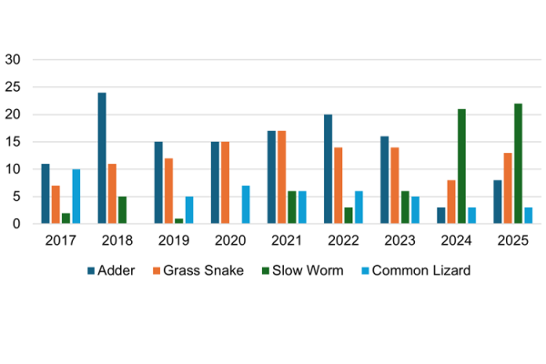 A bar graph showing the number of reptiles recorded at Englemere Pond.