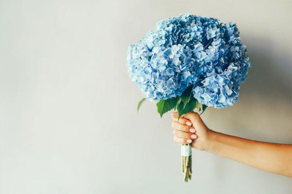 Hand holding a bouquet of blue flowers